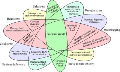 Uncovering the mechanisms of salicylic acid-mediated abiotic stress tolerance in horticultural crops